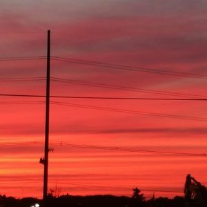 Meet your Posher, Janice